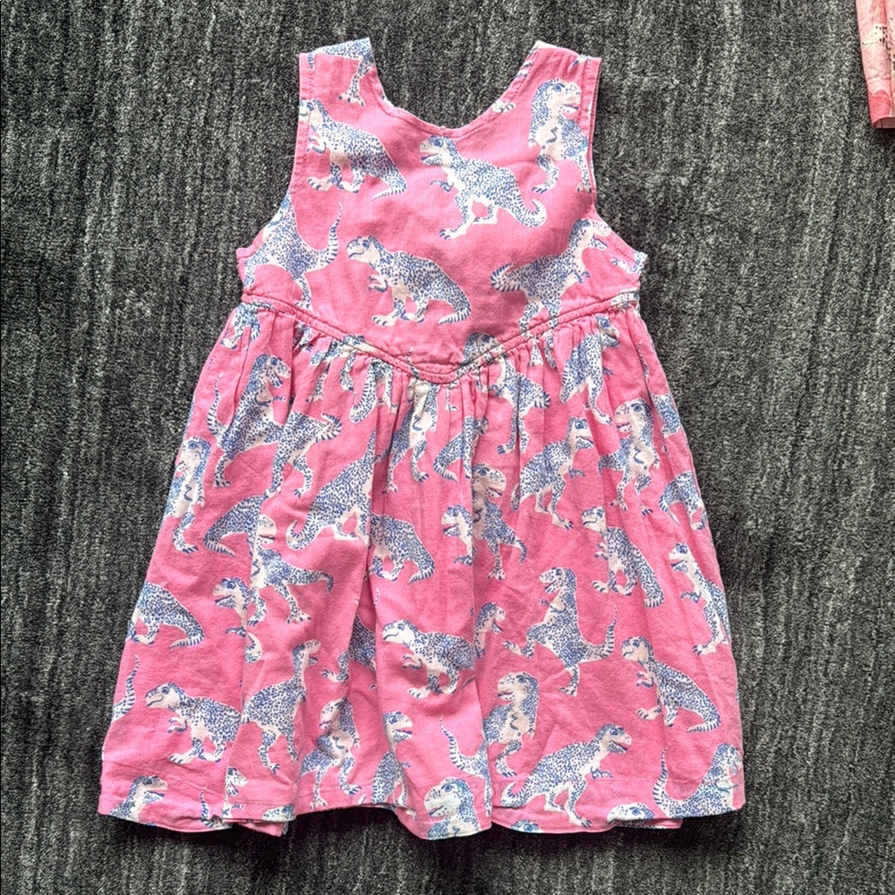 Pink Dinosaur Print Dress